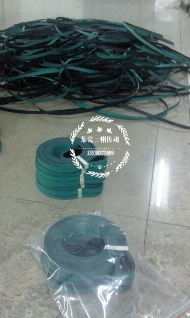 進(jìn)口防靜電皮帶