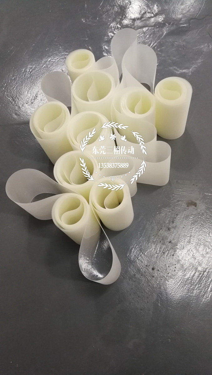 背光輸送帶，檢測帶